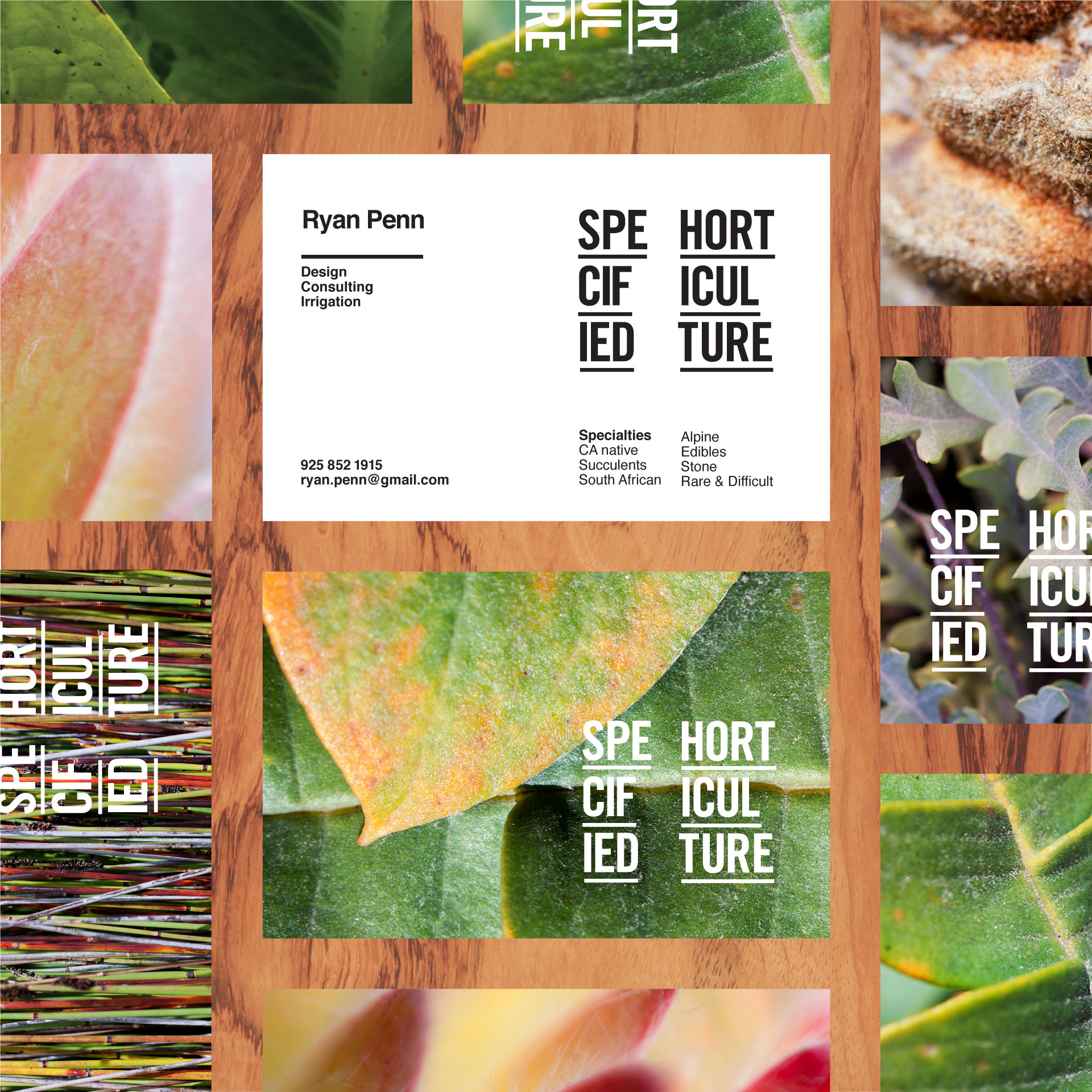 ee-specified-horticulture-cards