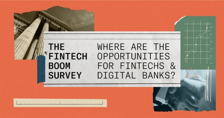 Fintech-Boom-Survey